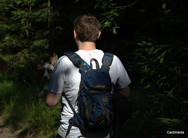 psi bagaż co spakować psu, co zabrać na wakacje z psem, psia apteczka, psi bagaż, pies w podróży, podróże z psem, wakacje z psem